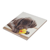 Chocolade Labrador Puppy met Speelgoed Duck Tegeltje (Zijkant)