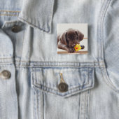 Chocolade Labrador Puppy met Speelgoed Duck Vierkante Button 5,1 Cm (In situ)