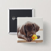 Chocolade Labrador Puppy met Speelgoed Duck Vierkante Button 5,1 Cm (Voorkant /achterkant)