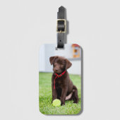 chocolade labrador puppy met tennisbal bagagelabel (Voorkant (verticaal))