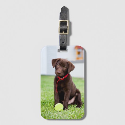 chocolade labrador puppy met tennisbal bagagelabel (Voorkant (verticaal))