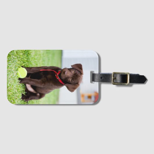 chocolade labrador puppy met tennisbal bagagelabel (Voorkant (horizontaal))