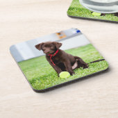 chocolade labrador puppy met tennisbal bier onderzetter (Linkerzijde)