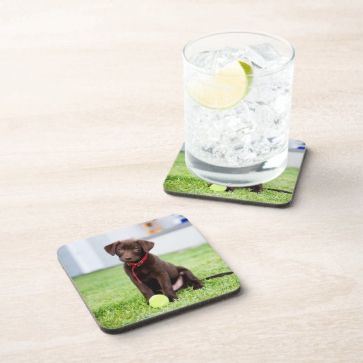 chocolade labrador puppy met tennisbal bier onderzetter (Rechterzijde)