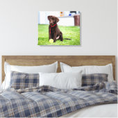 chocolade labrador puppy met tennisbal canvas afdruk (Insitu (Slaapkamer))