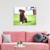 chocolade labrador puppy met tennisbal canvas afdruk (Insitu (Woonkamer))