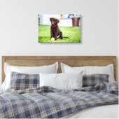 chocolade labrador puppy met tennisbal canvas afdruk (Insitu (Slaapkamer))