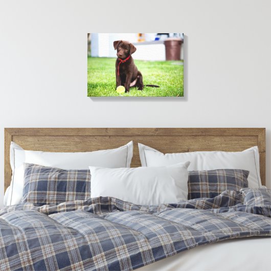 chocolade labrador puppy met tennisbal canvas afdruk (Insitu (Slaapkamer))