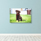 chocolade labrador puppy met tennisbal canvas afdruk (Insitu (Houten vloer))