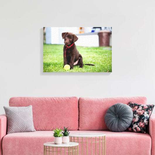 chocolade labrador puppy met tennisbal canvas afdruk (Insitu (Woonkamer))
