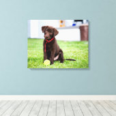 chocolade labrador puppy met tennisbal canvas afdruk (Insitu (Houten vloer))