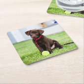 chocolade labrador puppy met tennisbal kartonnen onderzetters (Schuin)