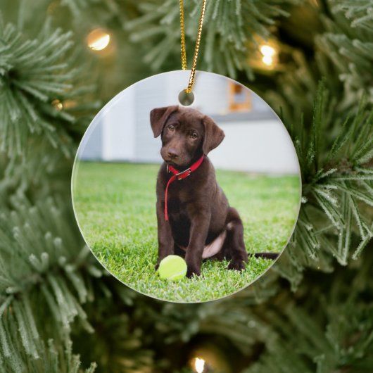 chocolade labrador puppy met tennisbal keramisch ornament (Boom)