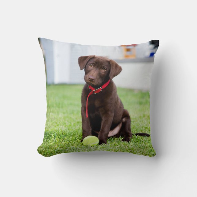 chocolade labrador puppy met tennisbal kussen (Voorkant)