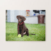 chocolade labrador puppy met tennisbal legpuzzel (Horizontaal)