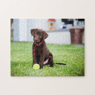 chocolade labrador puppy met tennisbal legpuzzel