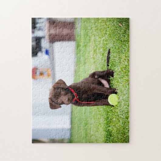 chocolade labrador puppy met tennisbal legpuzzel (Verticaal)