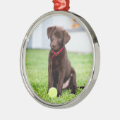 chocolade labrador puppy met tennisbal metalen ornament (Links)