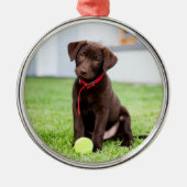 chocolade labrador puppy met tennisbal metalen ornament (Voorkant)