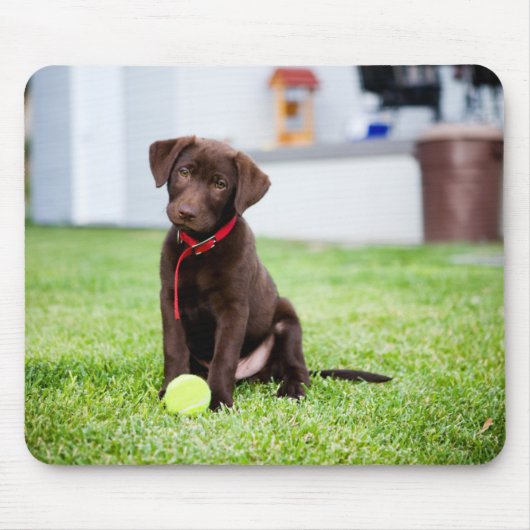 chocolade labrador puppy met tennisbal muismat (Voorkant)