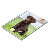 chocolade labrador puppy met tennisbal notitieboek (Linkerzijde)