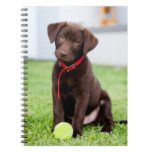 chocolade labrador puppy met tennisbal notitieboek (Voorkant)