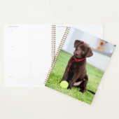 chocolade labrador puppy met tennisbal planner (Display)