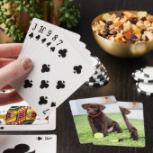 chocolade labrador puppy met tennisbal pokerkaarten (Insitu)