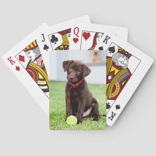 chocolade labrador puppy met tennisbal pokerkaarten (Achterkant)
