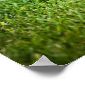 chocolade labrador puppy met tennisbal poster (Hoek)