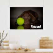 chocolade labrador puppy met tennisbal poster (Keuken)