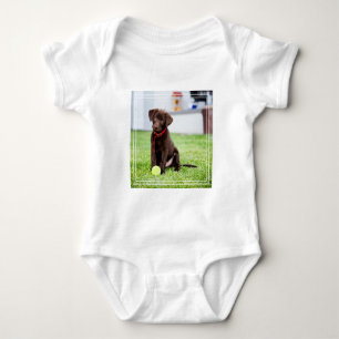 chocolade labrador puppy met tennisbal romper