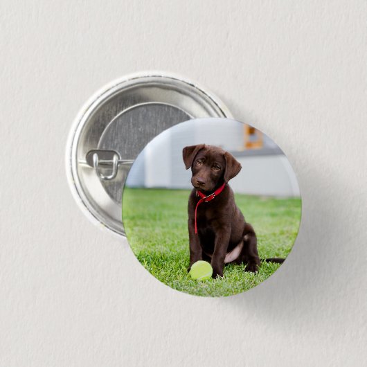 chocolade labrador puppy met tennisbal ronde button 3,2 cm (Voorkant /achterkant)