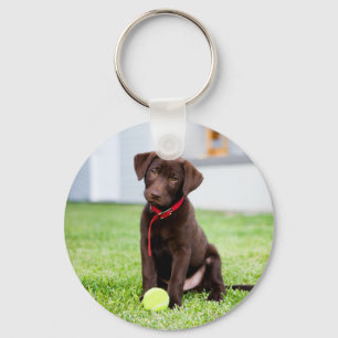 chocolade labrador puppy met tennisbal sleutelhanger