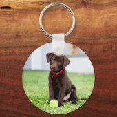 chocolade labrador puppy met tennisbal sleutelhanger (Voorkant)