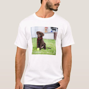 chocolade labrador puppy met tennisbal t-shirt