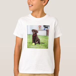 chocolade labrador puppy met tennisbal t-shirt
