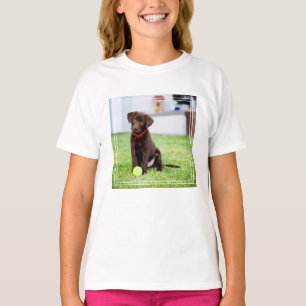 chocolade labrador puppy met tennisbal t-shirt