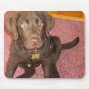 Chocolade Labrador Puppy Muismat