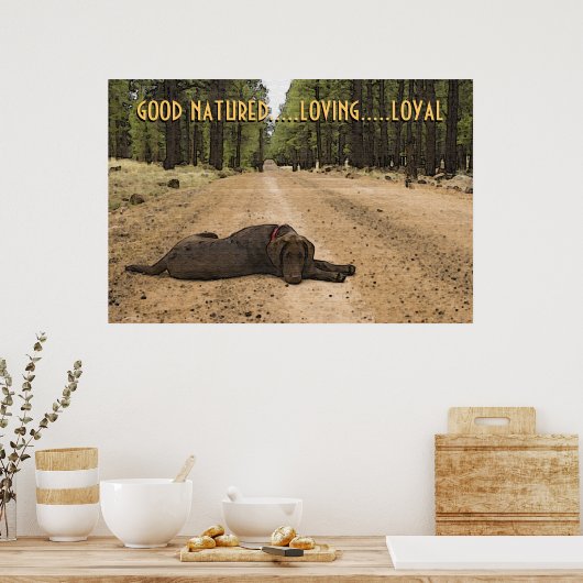 Chocolade Labrador-puppy op Forest Trail Custom Poster (Keuken)