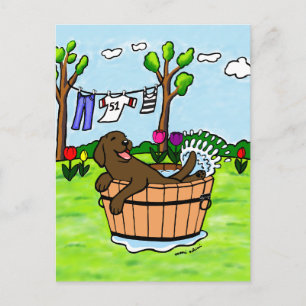 Chocolade Labrador Puppy Pool Briefkaart