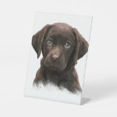 Chocolade Labrador Puppy Reclamebord Met Voetstuk (Voorkant)