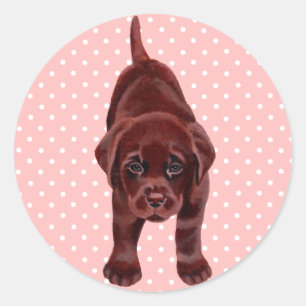 Chocolade Labrador Puppy Ronde Sticker