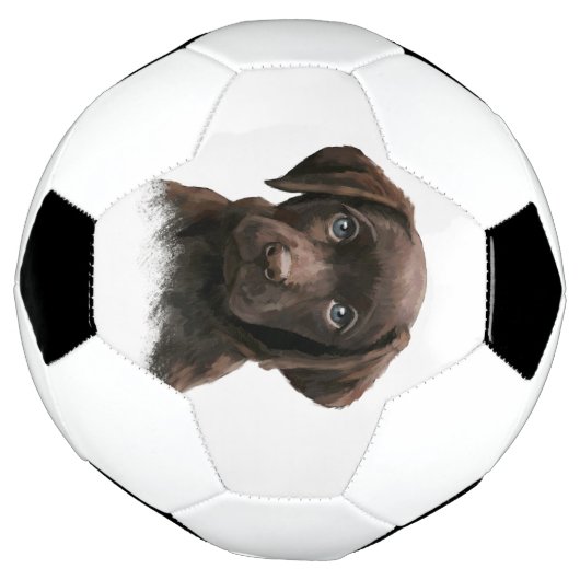Chocolade Labrador Puppy Voetbal (Gedraaid)