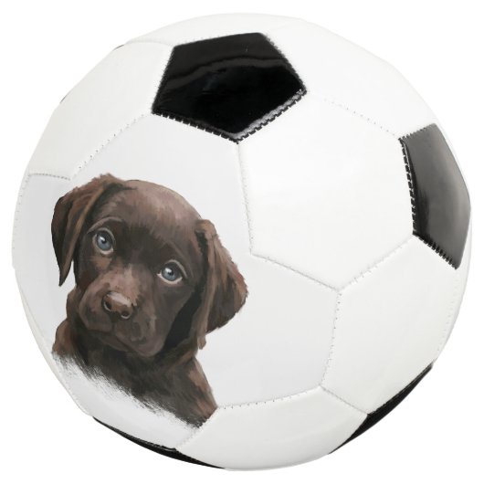 Chocolade Labrador Puppy Voetbal (Drie kwart)