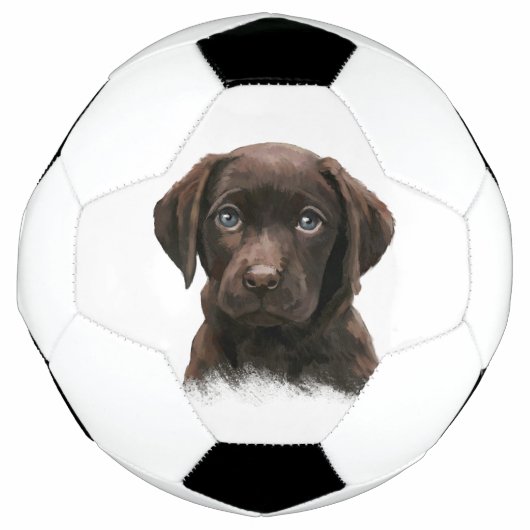 Chocolade Labrador Puppy Voetbal (Voorkant)
