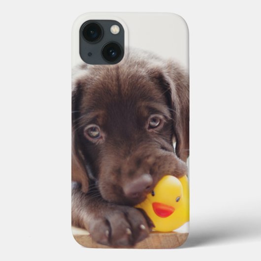Chocolade Labrador Puppy with Speelgoed Duck Case-Mate iPhone Case (Achterkant)