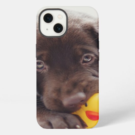 Chocolade Labrador Puppy with Speelgoed Duck iPhone Hoesje (Achterkant)