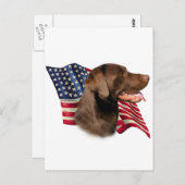 Chocolade Labrador Retriever Amerikaanse vlag Briefkaart (Voorkant / Achterkant)