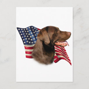 Chocolade Labrador Retriever Amerikaanse vlag Briefkaart